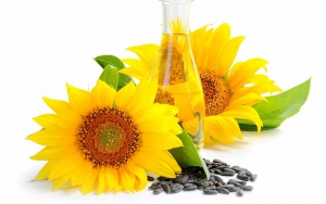 Sunflower seed oil in caveat