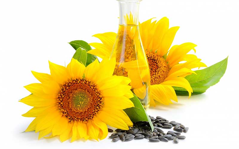 Sunflower seed oil in caveat